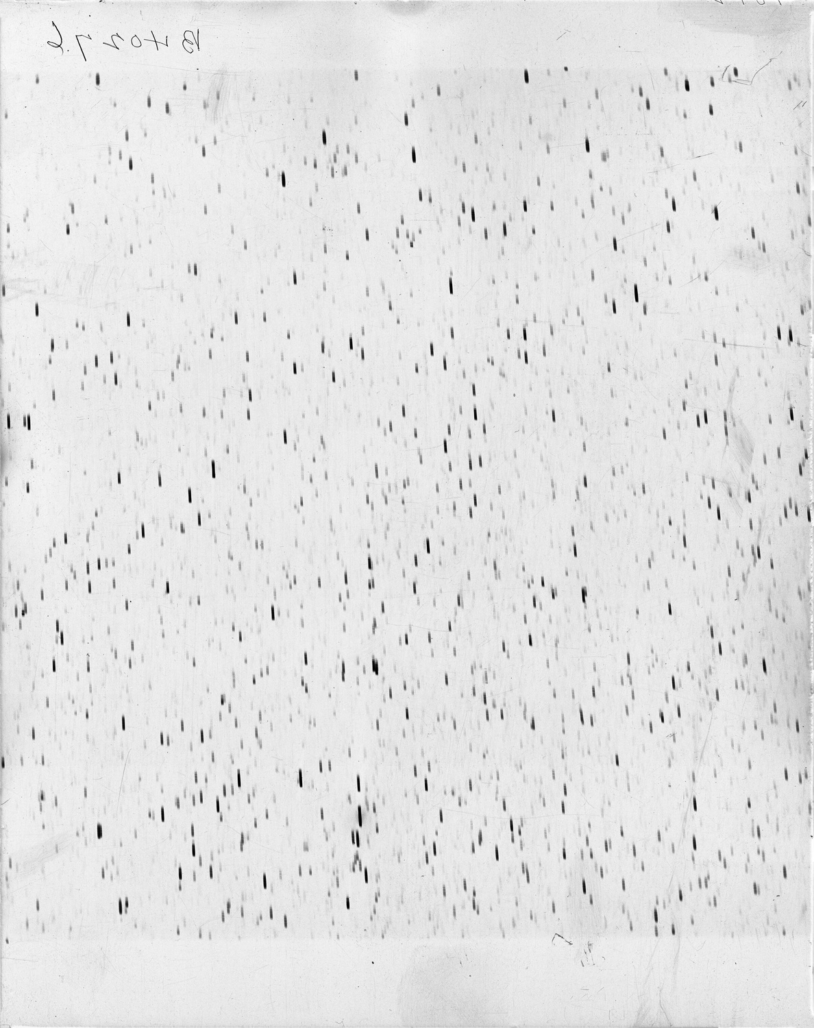 An astronomical photographic plate taken in Peru from Harvard College Observatory's Arequipa Station.