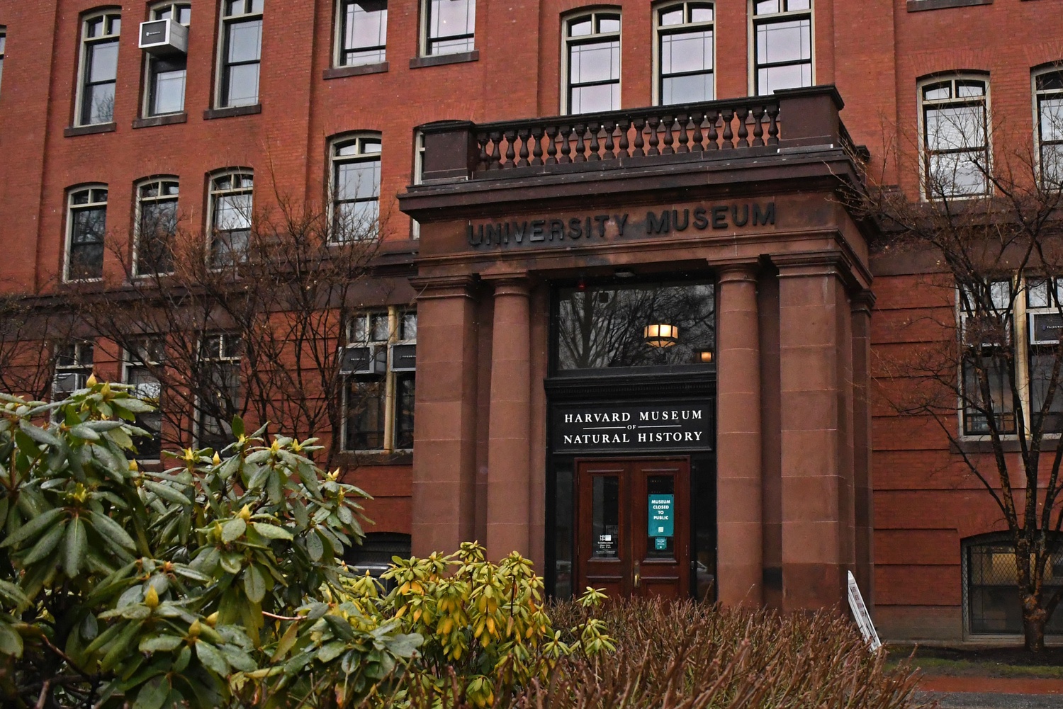 The Harvard University Center for the Environment is housed in the Harvard Museum of Natural History at 26 Oxford St.