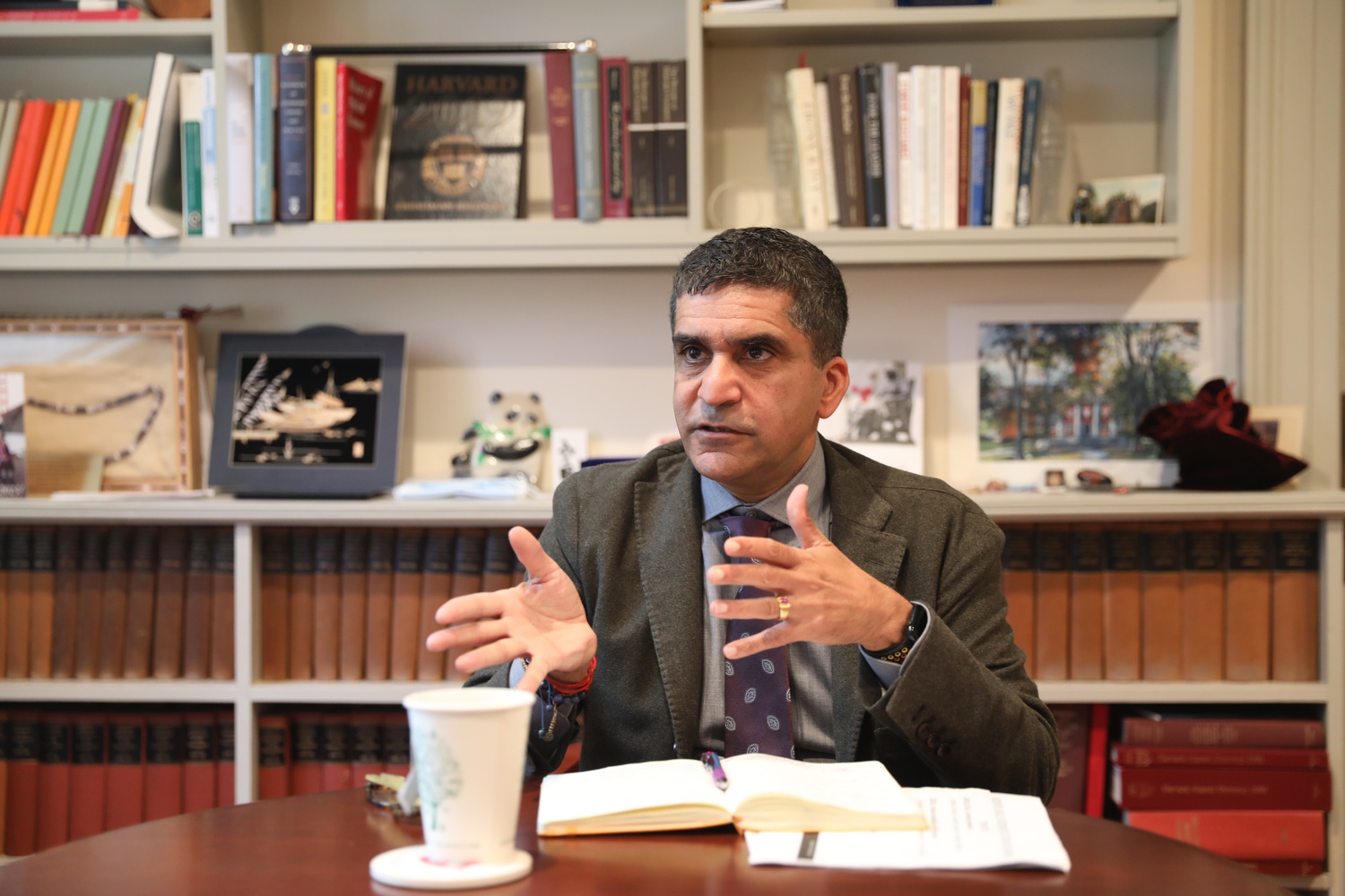 Dean of the College Rakesh Khurana speaks at an October interview.